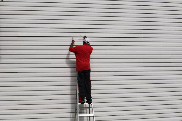 Best Stone Veneer Siding  in Lake Of The Woods, IL