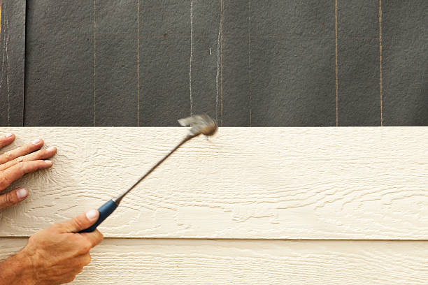 Best Historical Building Siding Restoration  in Lake Of The Woods, IL