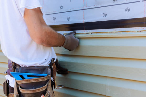 Best Vinyl Siding Installation  in Lake Of The Woods, IL